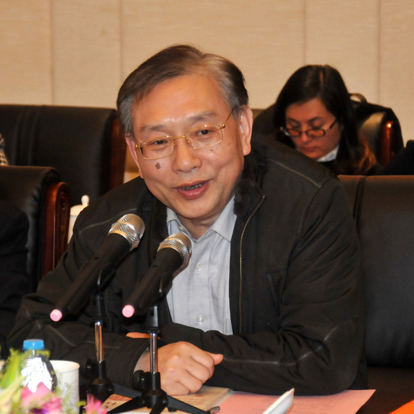 3、上海市政协常委、上海市发展战略研究所所长、上海市经济学会会长周振华发言.JPG